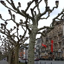 Wiesbaden fokussiert